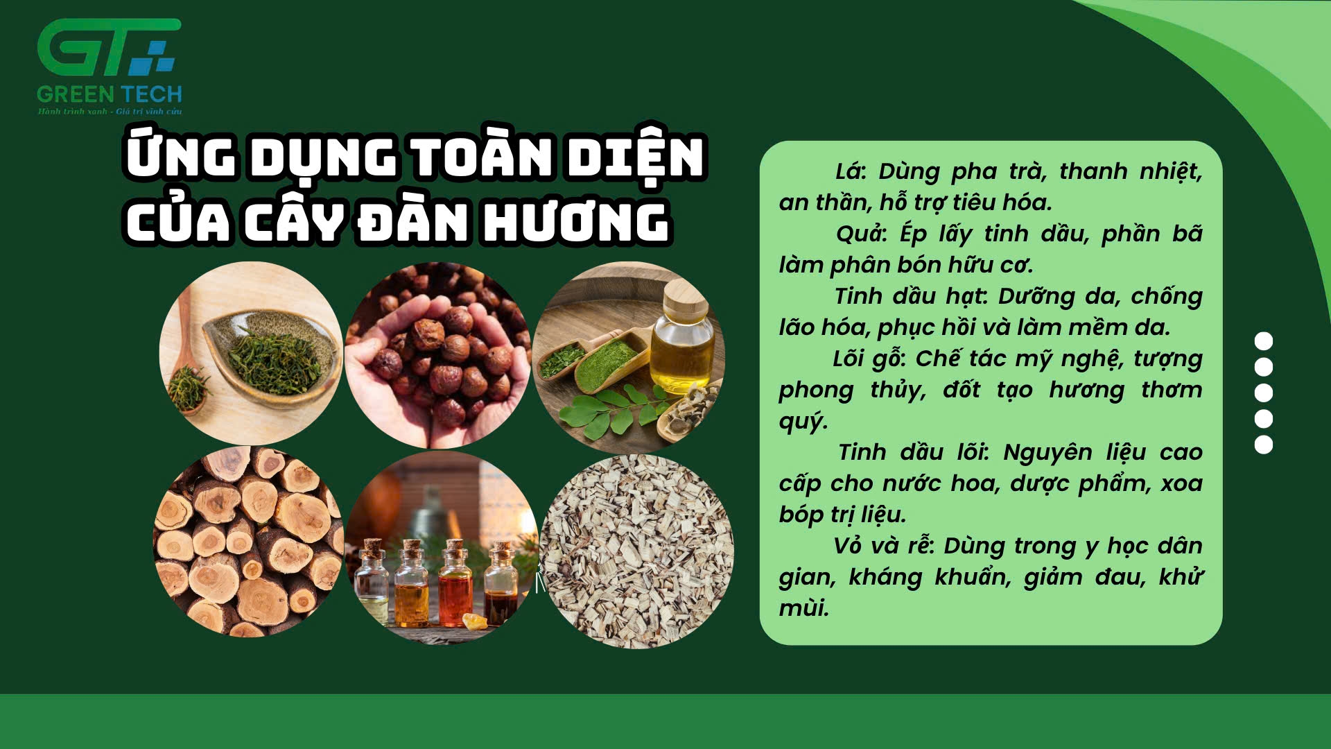 THỊ TRƯỜNG CÂY XANH VÀ DƯỢC LIỆU – CƠ HỘI TỪ XU HƯỚNG XANH TOÀN CẦU