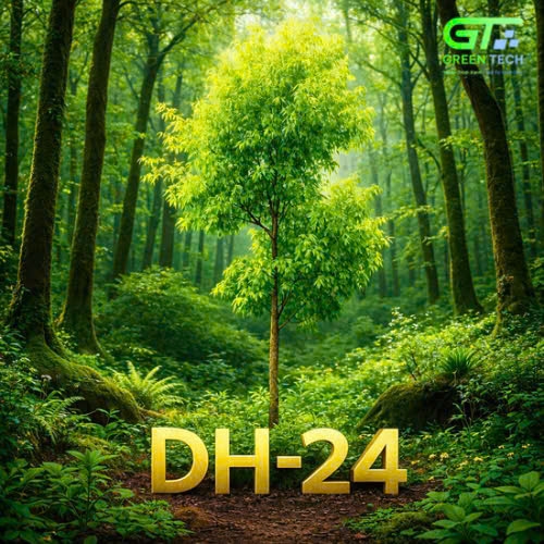 Đàn Hương DH-24