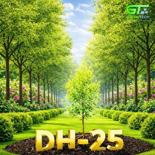 Đàn Hương DH-25
