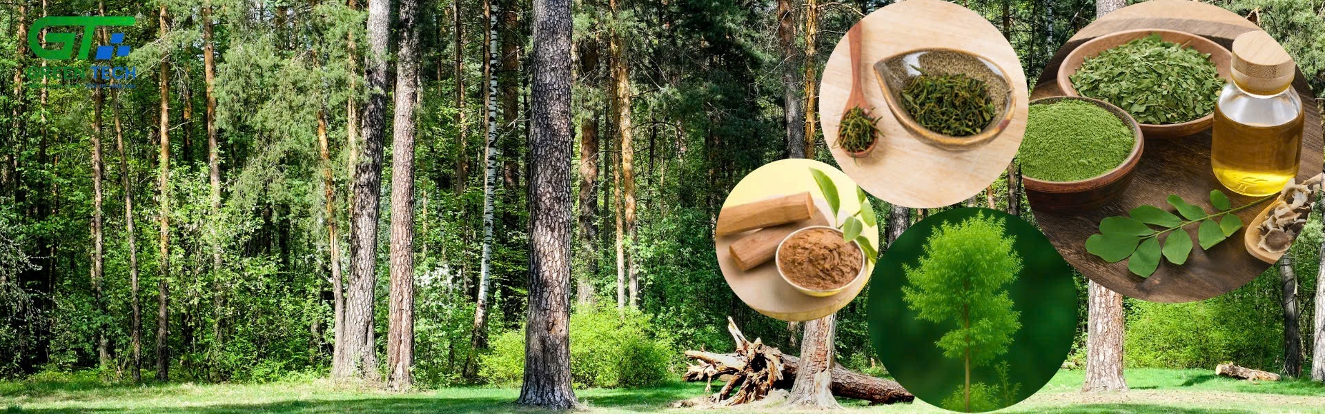 GreenTech360